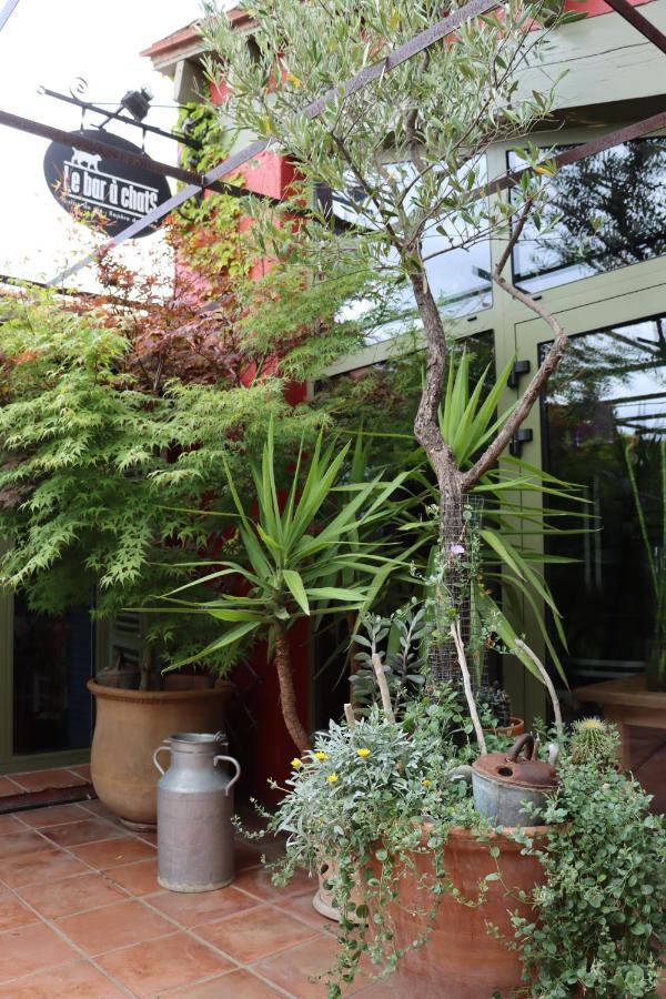 Grand Loft De Charme, Place Du Village A Thuir Bagian luar foto